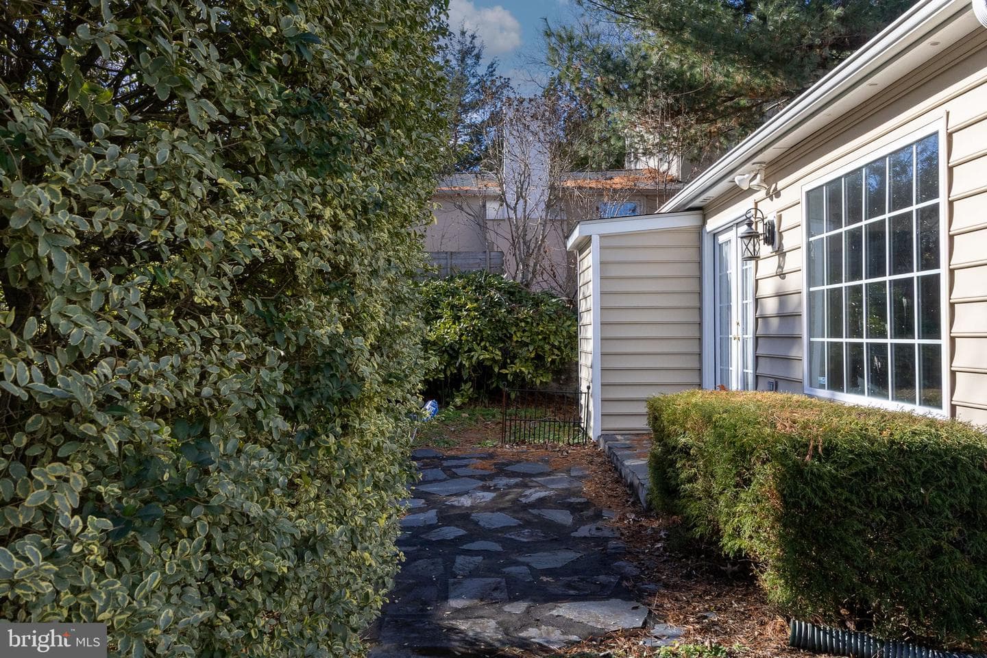 504 Hawke Street photo 43