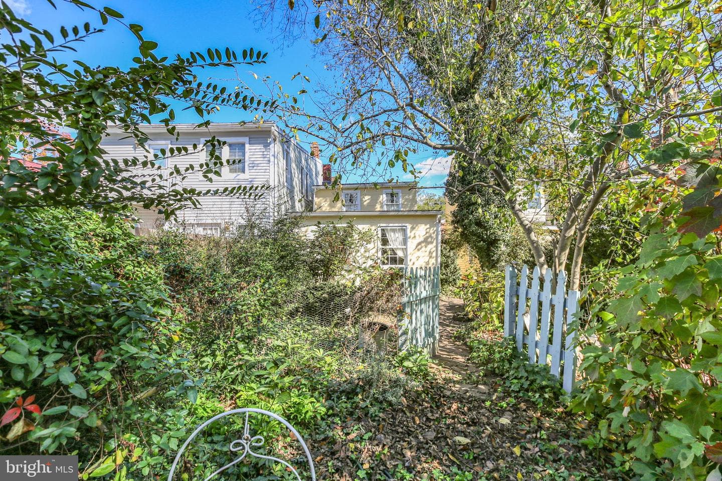 210 Princess Anne Street photo 18