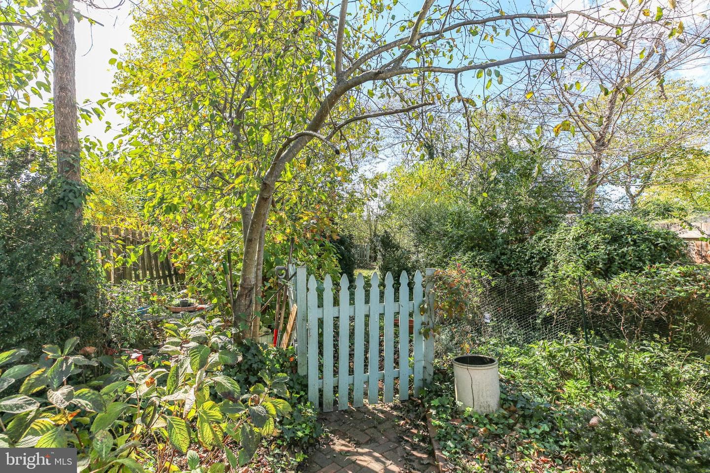 210 Princess Anne Street photo 21