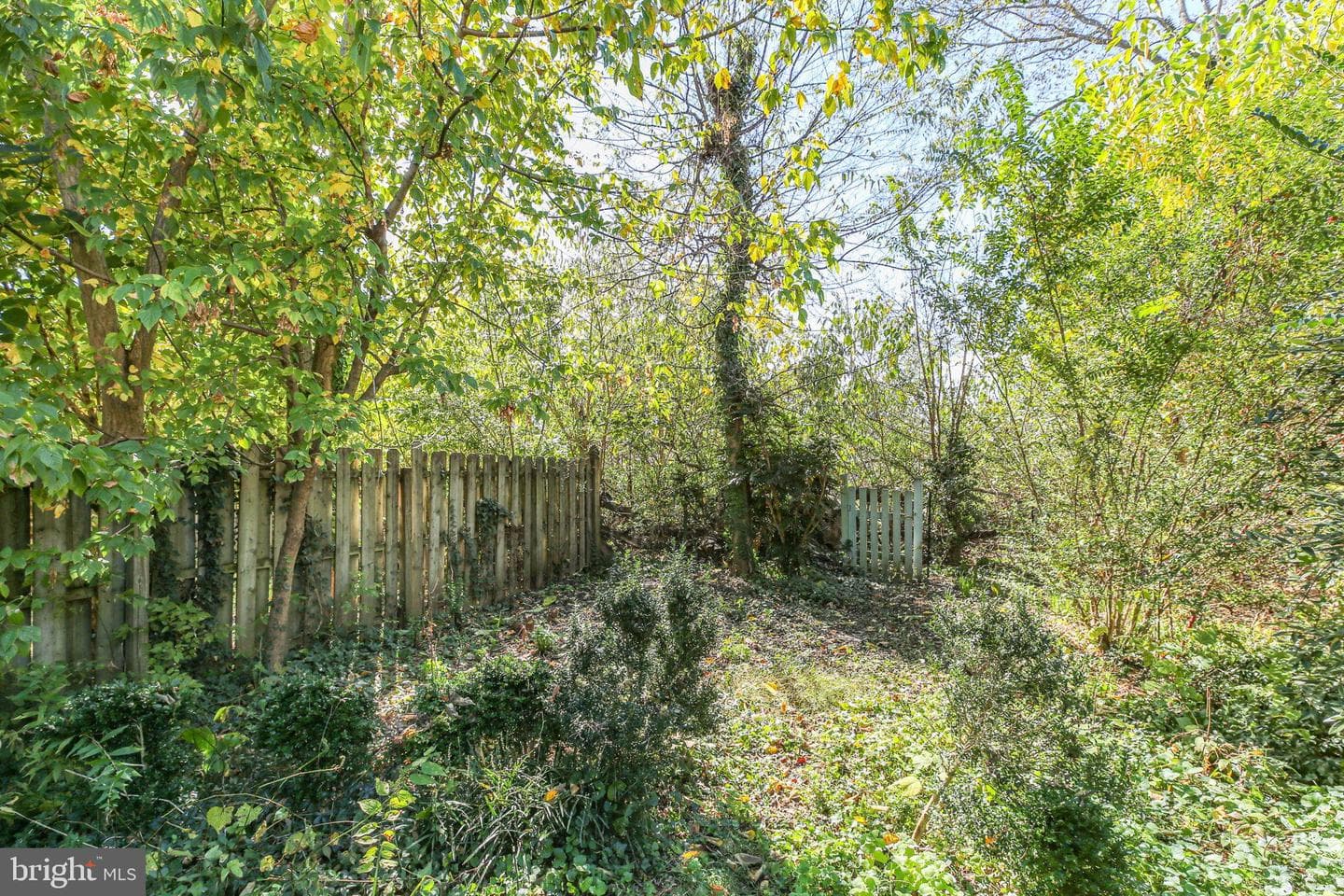 210 Princess Anne Street photo 22