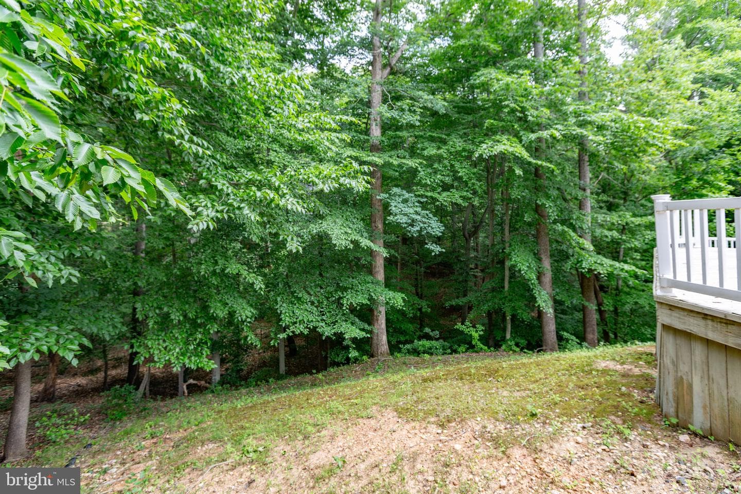 1001 Featherston Court photo 106