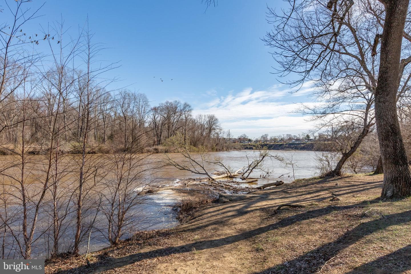 3107 Linden Avenue photo 34