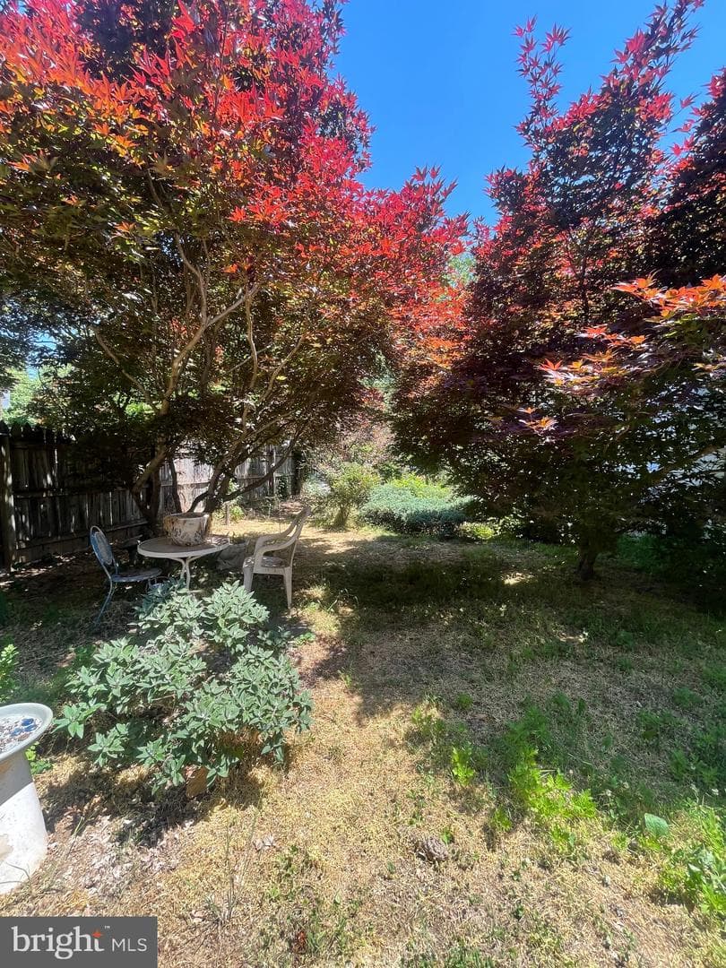 300 Prince Edward Street photo 38
