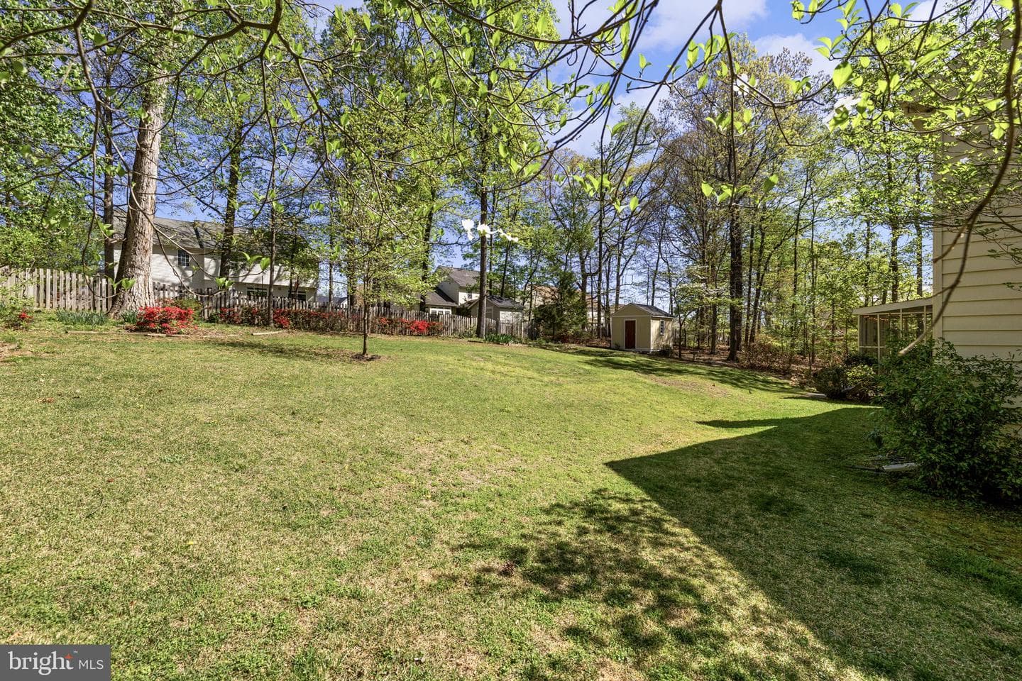 113 Poplar Drive photo 21