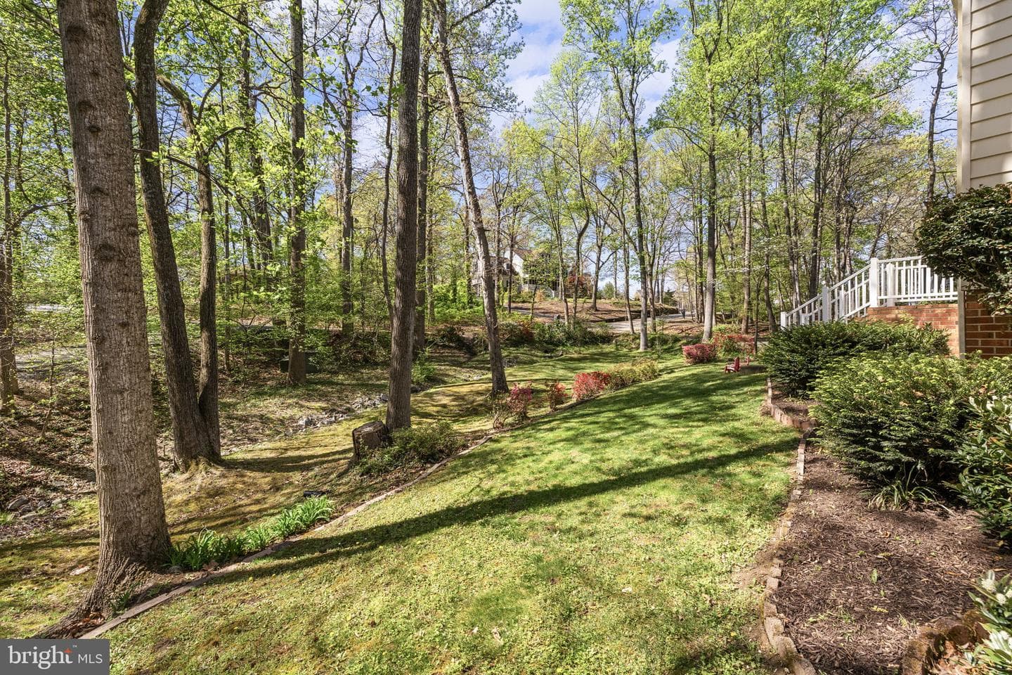 113 Poplar Drive photo 50