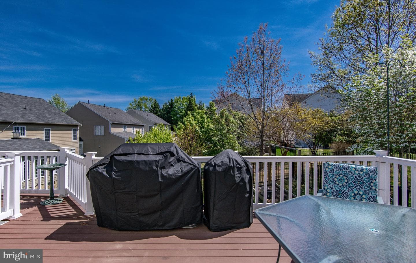 1003 Raymond Court photo 79