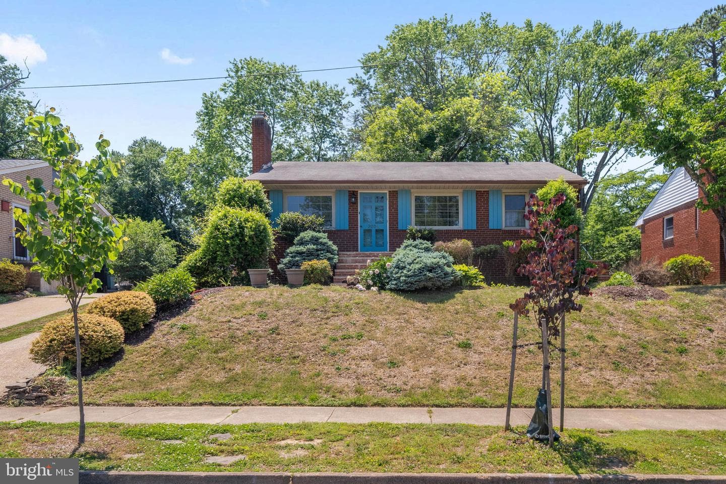 3204 Linden Avenue photo 20
