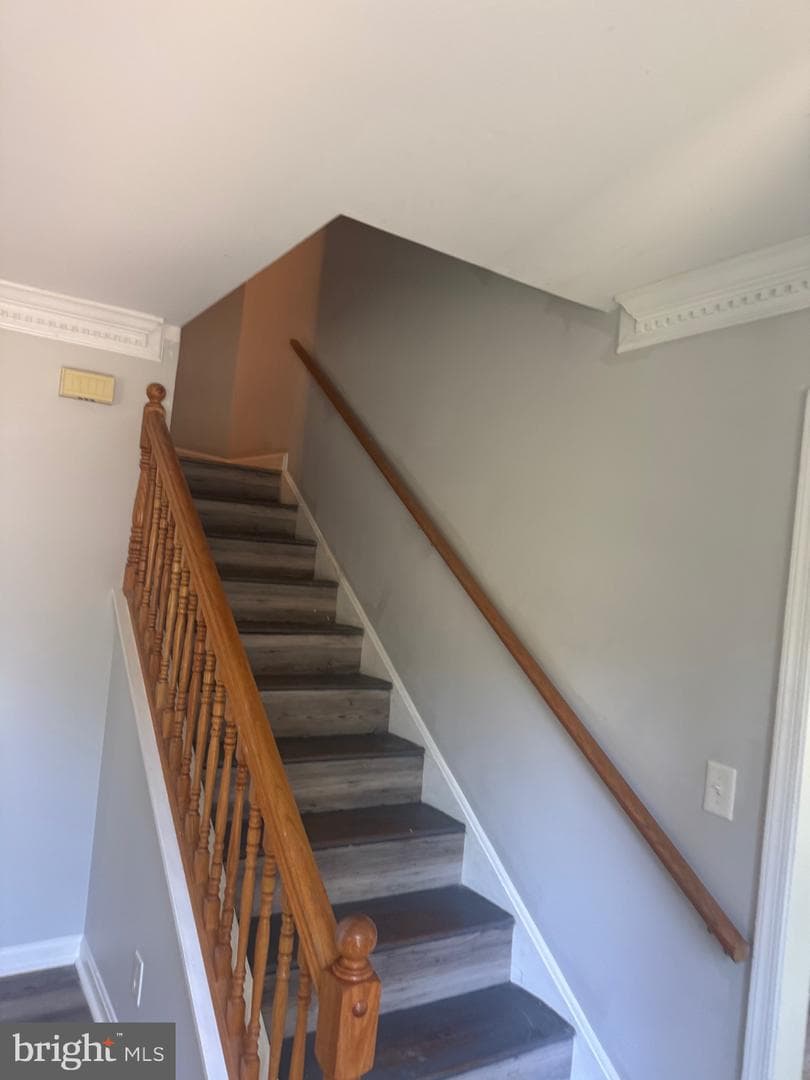 406 Canterbury Road photo 5