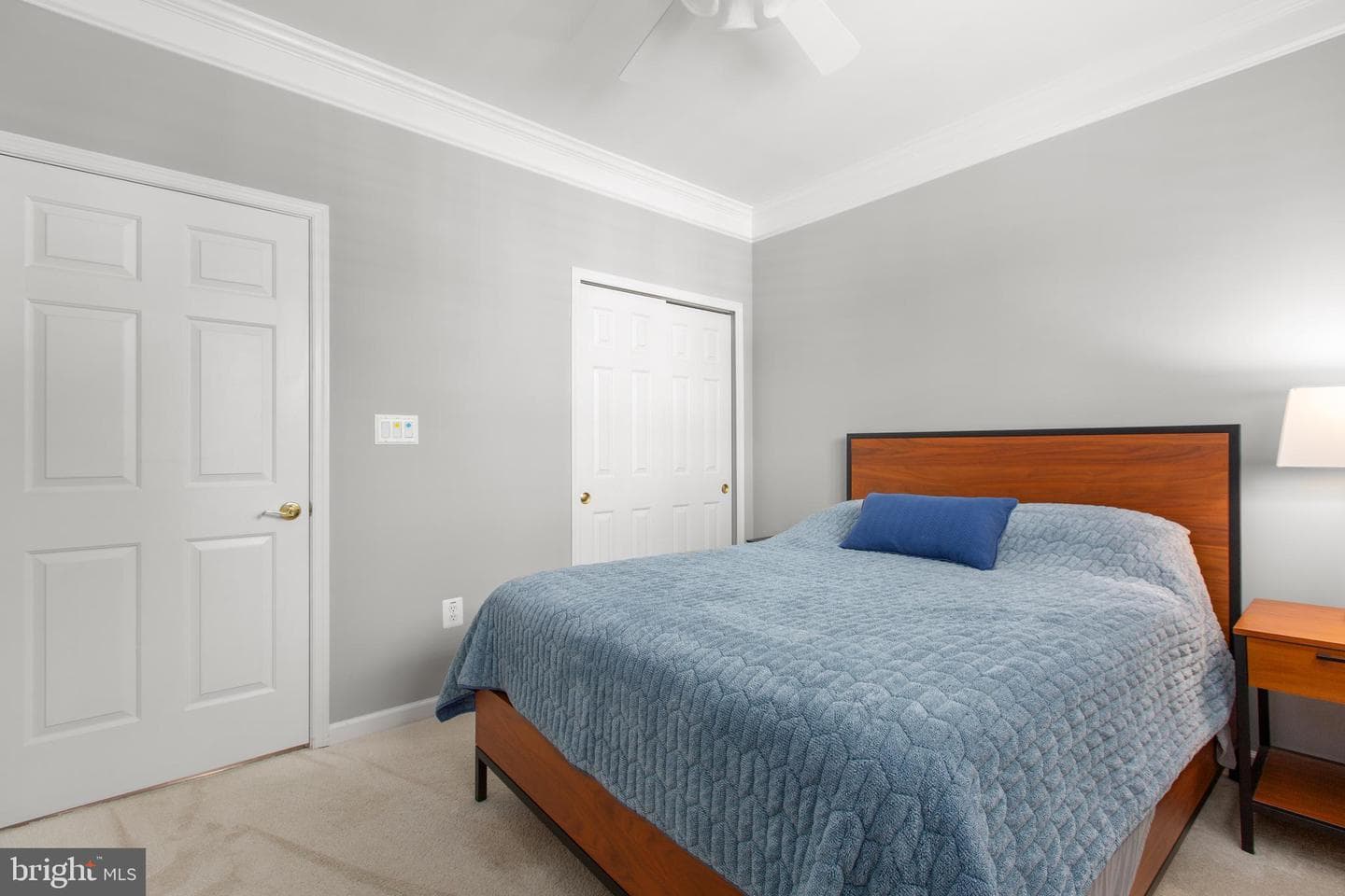 904 Cadmus Drive photo 20
