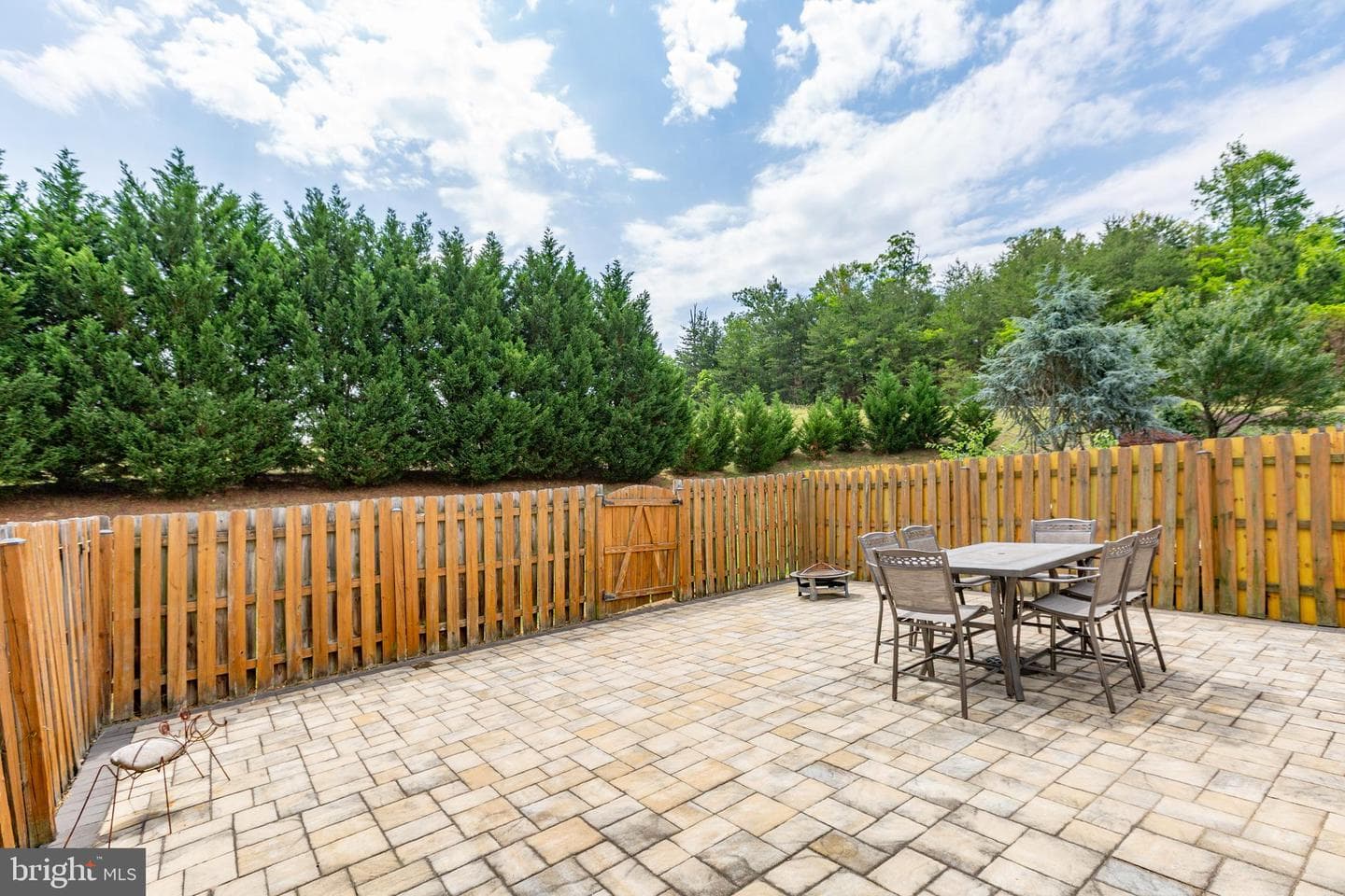 904 Cadmus Drive photo 43