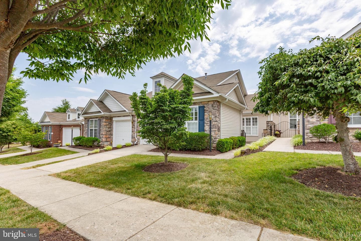 904 Cadmus Drive photo 47