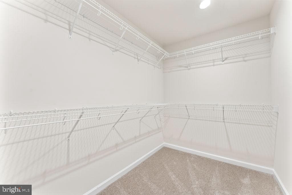 147 Longstreet Avenue photo 25