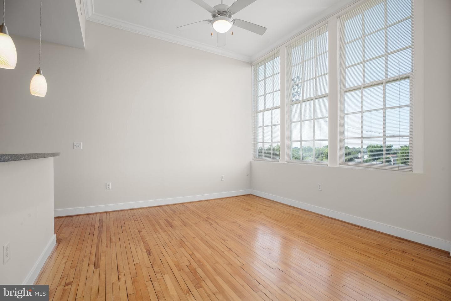900 Barton Street #307 photo 3