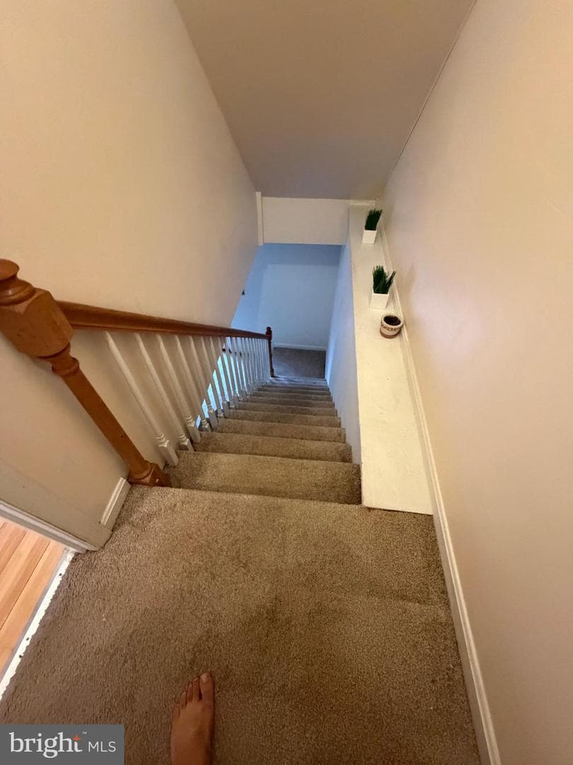 111 Kings Mill Drive photo 20