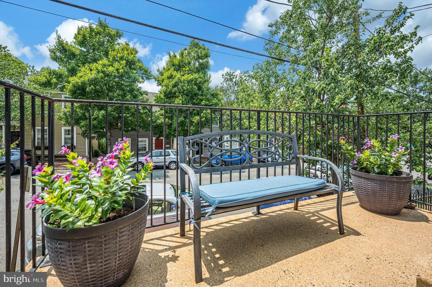 309 Princess Anne Street photo 6