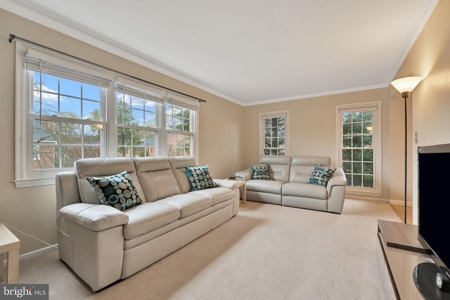 10545 Assembly Drive photo 5