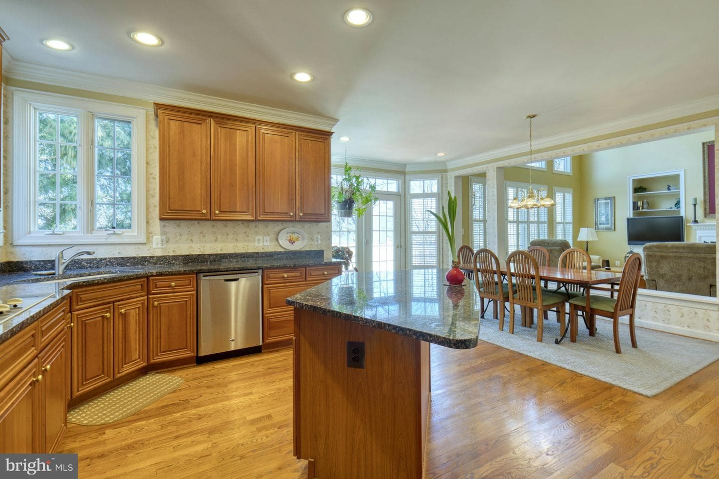 3832 Farr Oak Circle photo 10