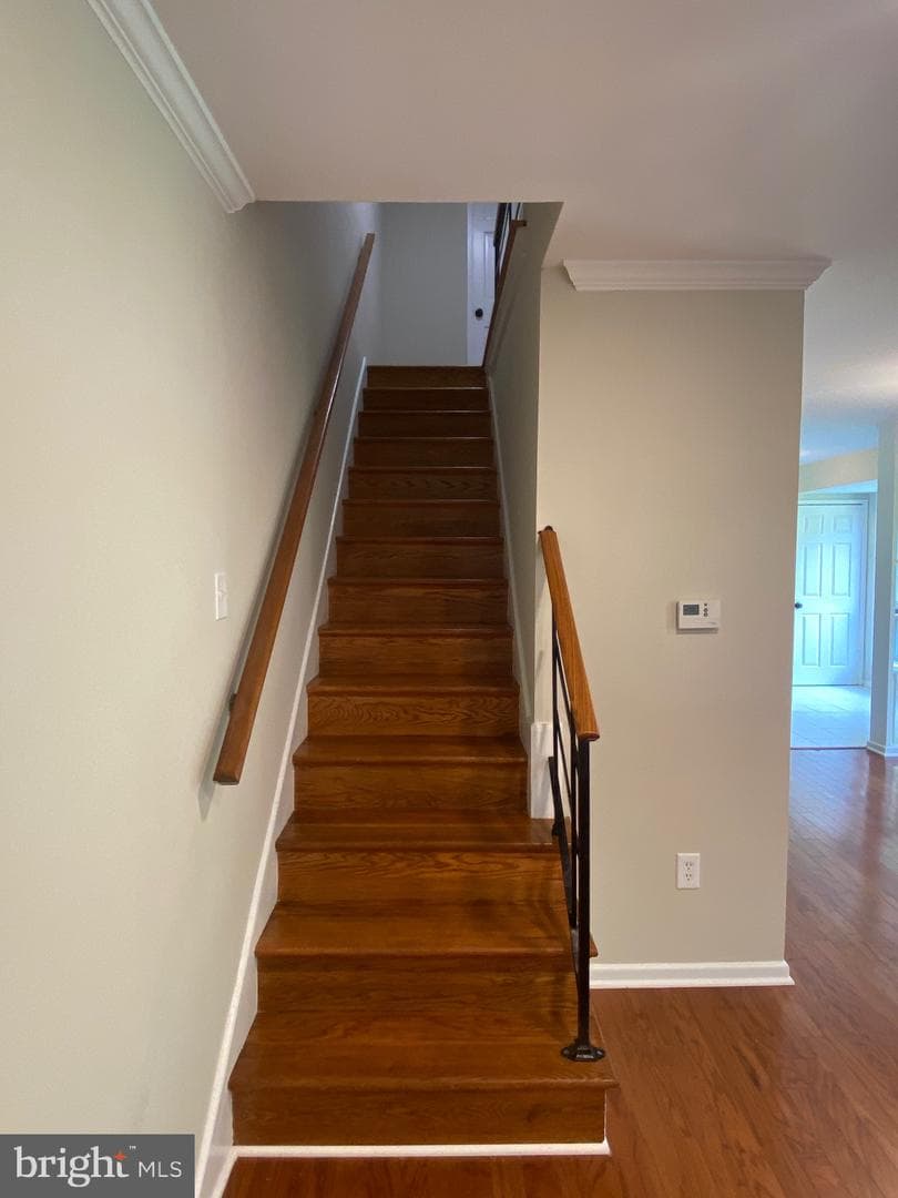 10104 Fair Woods Drive photo 8