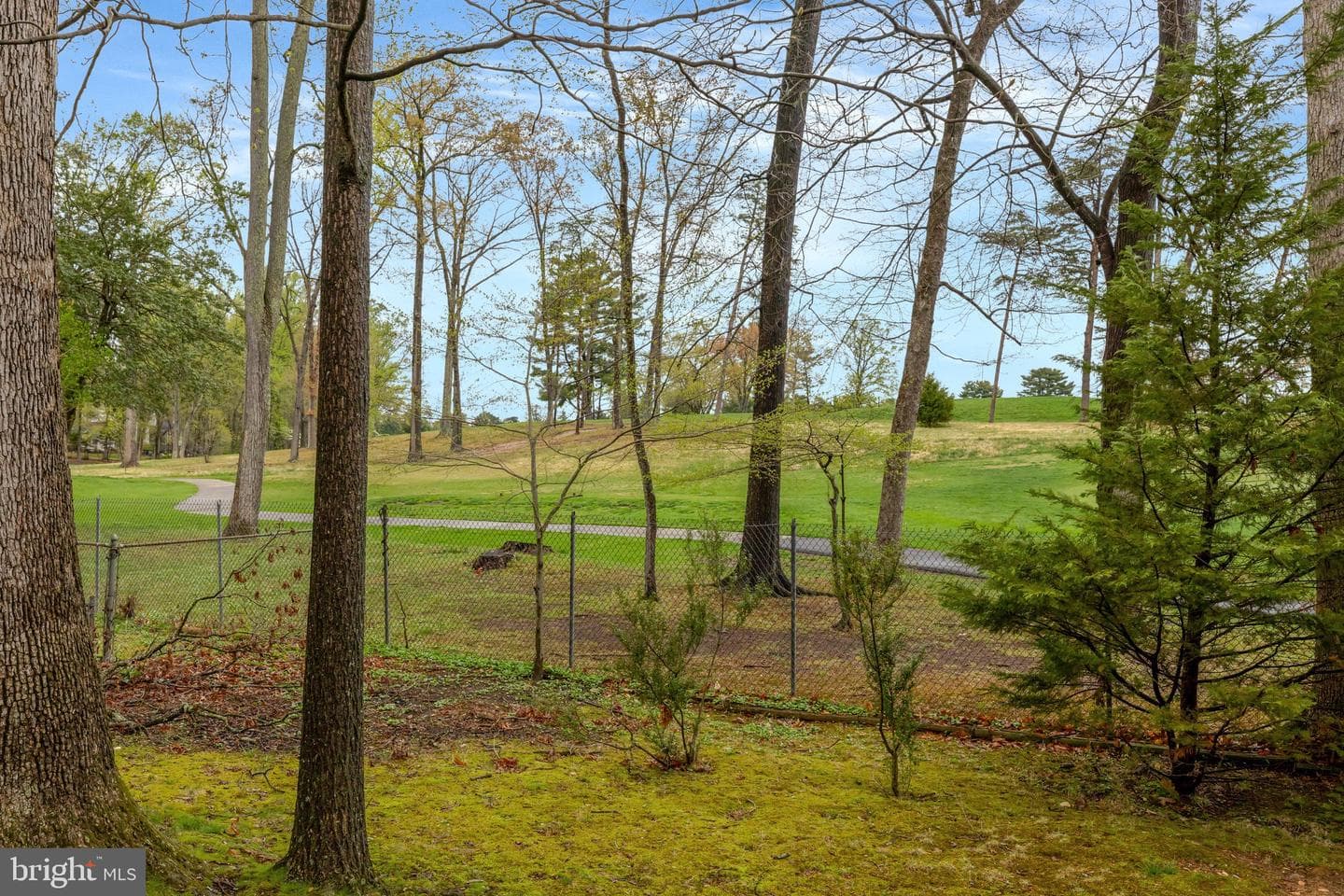 9718 Saint Andrews Drive photo 3