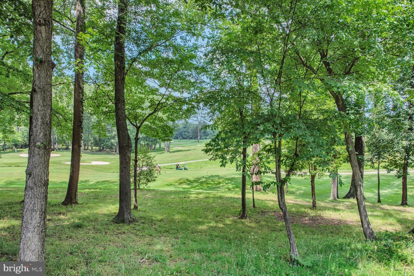 9726 Saint Andrews Drive photo 48