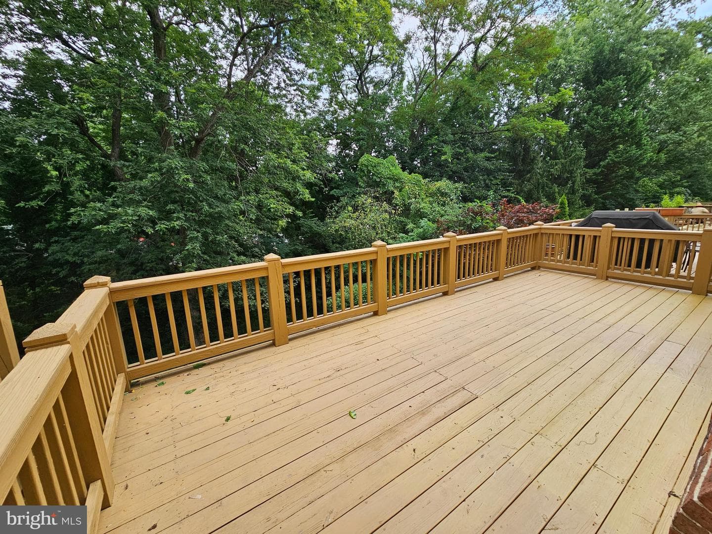10450 Courtney Drive photo 19