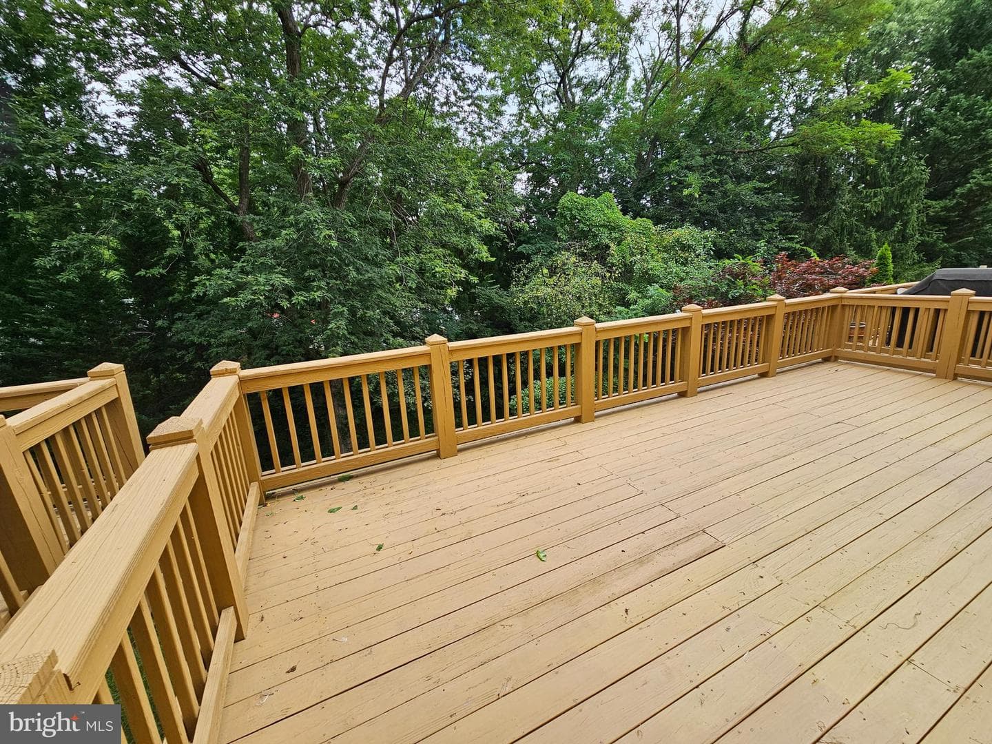 10450 Courtney Drive photo 20