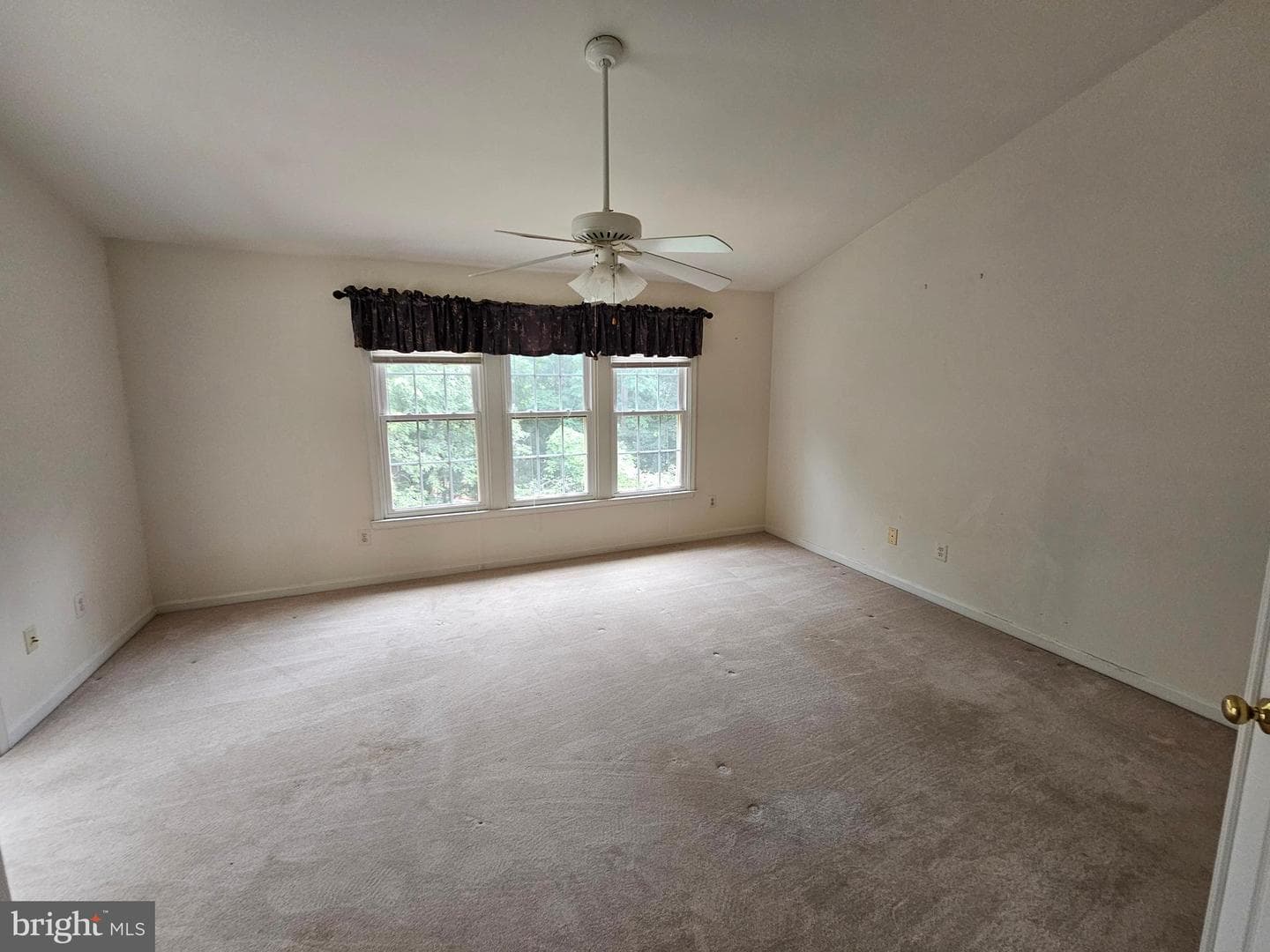 10450 Courtney Drive photo 32