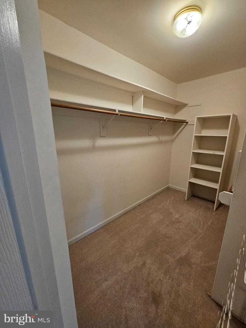 10450 Courtney Drive photo 40