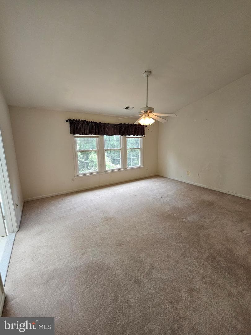 10450 Courtney Drive photo 43