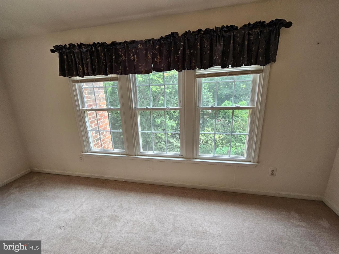 10450 Courtney Drive photo 49