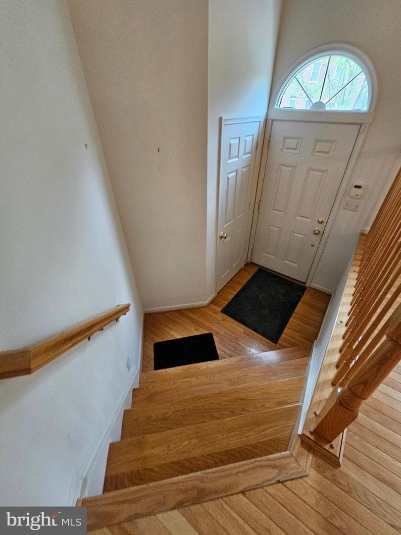 10450 Courtney Drive photo 52