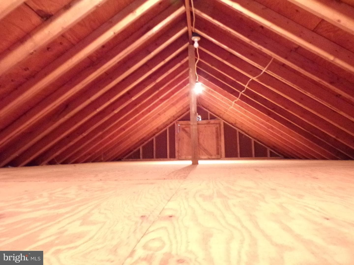 10009 Terry Street photo 53