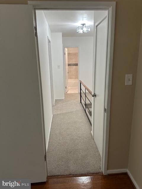 10132 Fair Woods Drive photo 13
