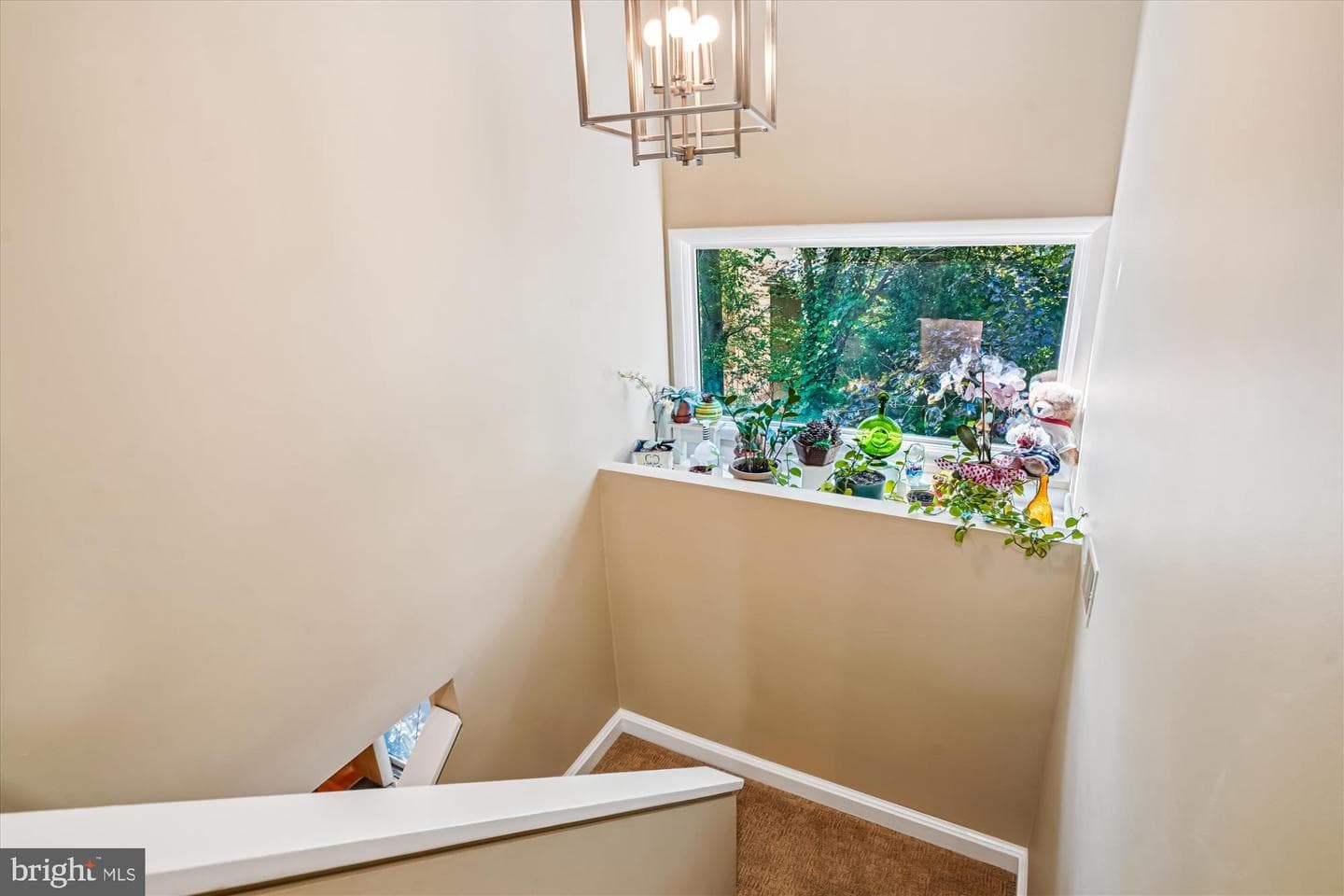 3501 Redwood Court photo 46