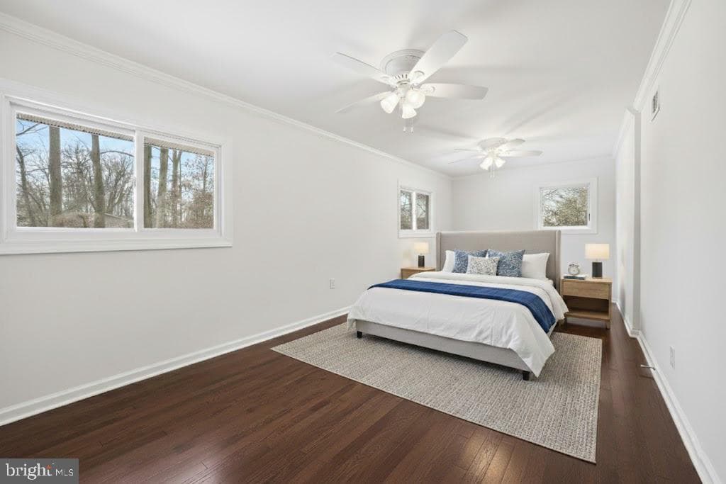 10911 Maple Street photo 15