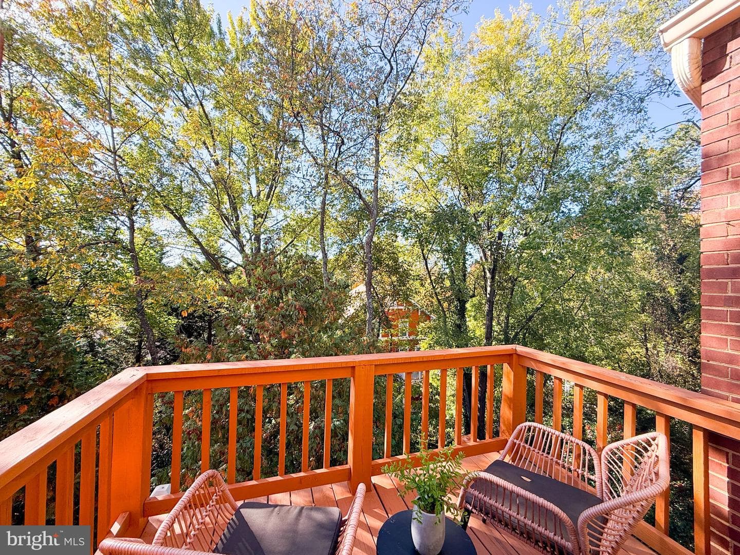 10231 Aspen Willow Drive photo 32