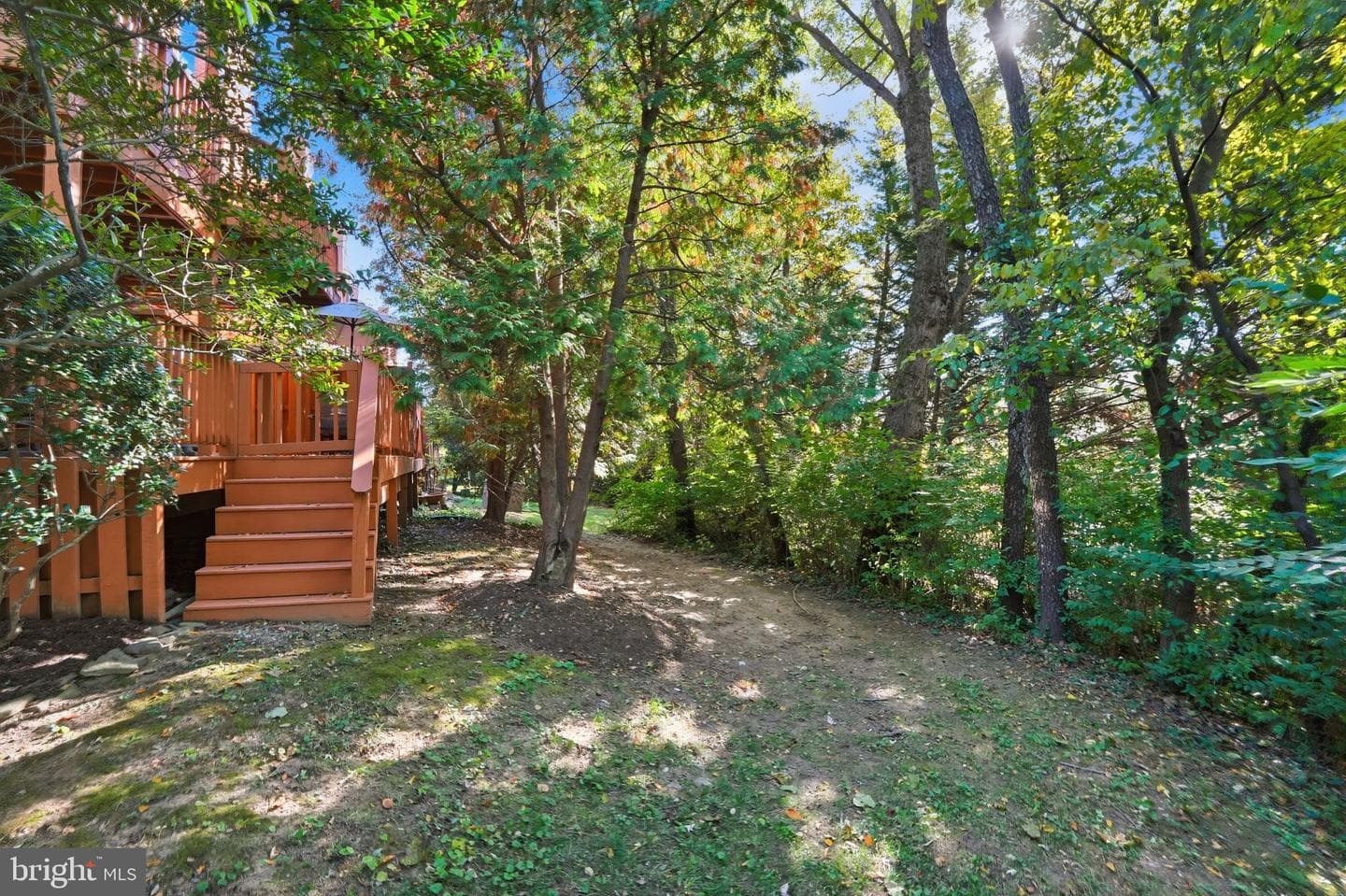 10231 Aspen Willow Drive photo 61