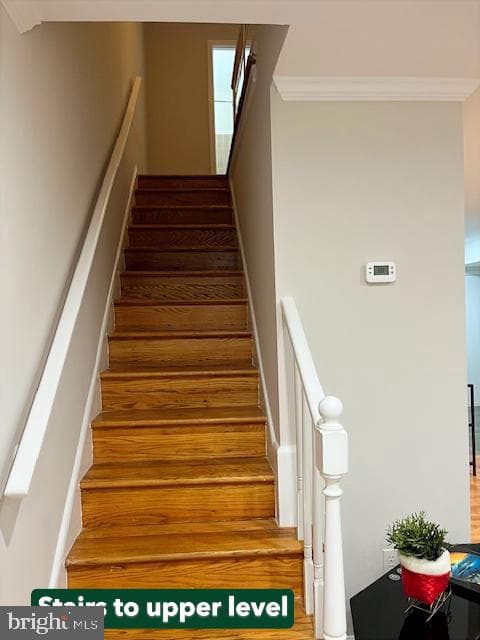 10123 Fair Woods Drive photo 22