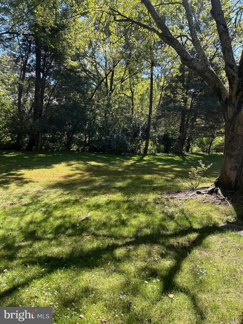 3889 Tusico Place photo 36