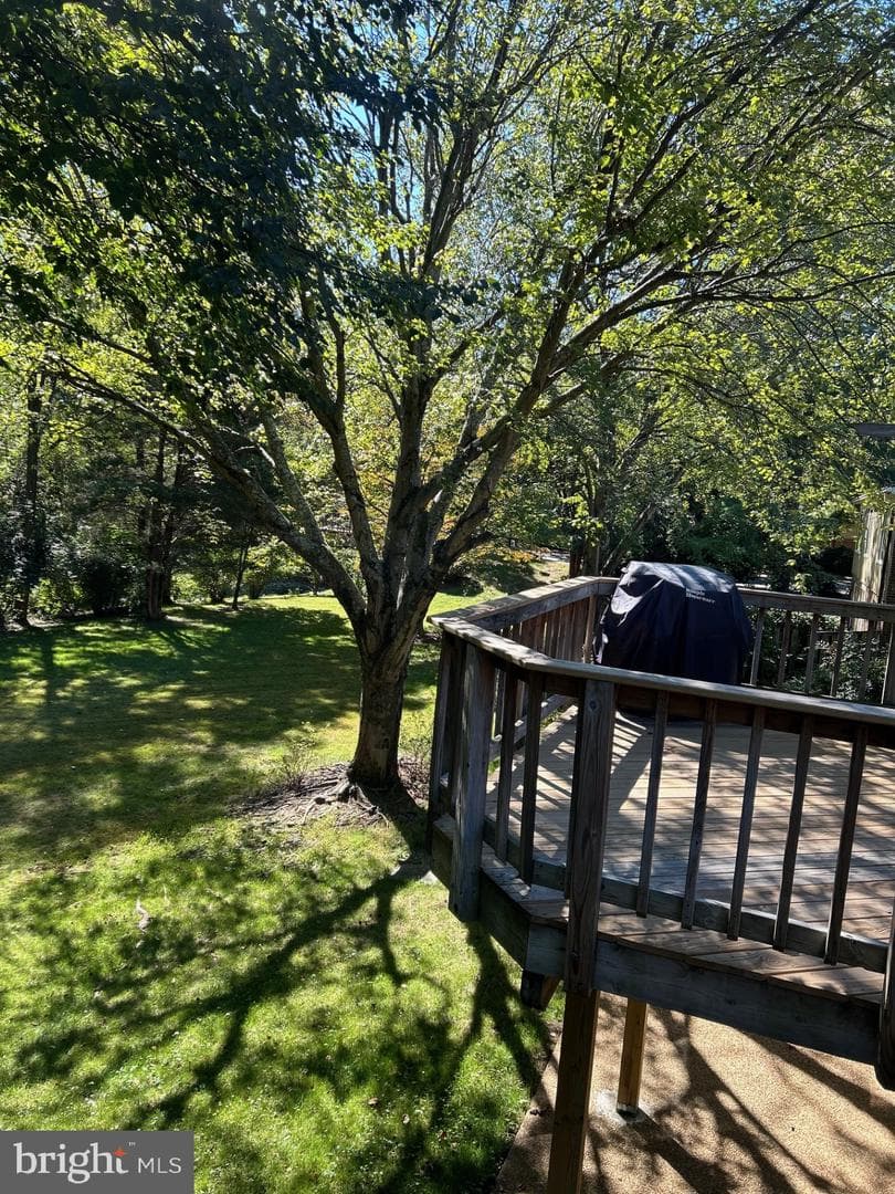 3889 Tusico Place photo 39