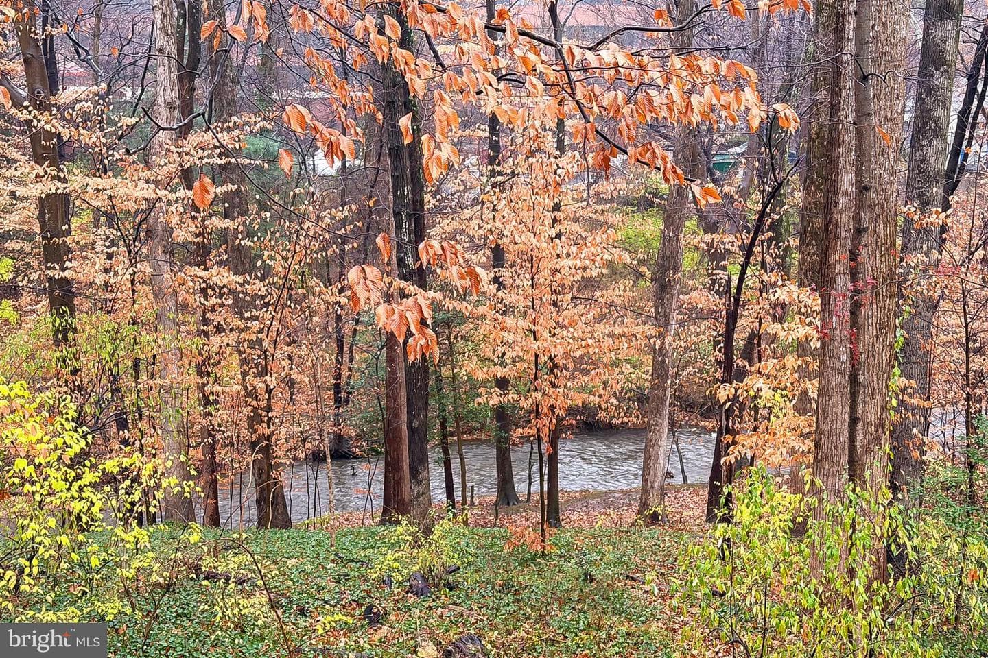 10118 Spring Lake Terrace photo 50