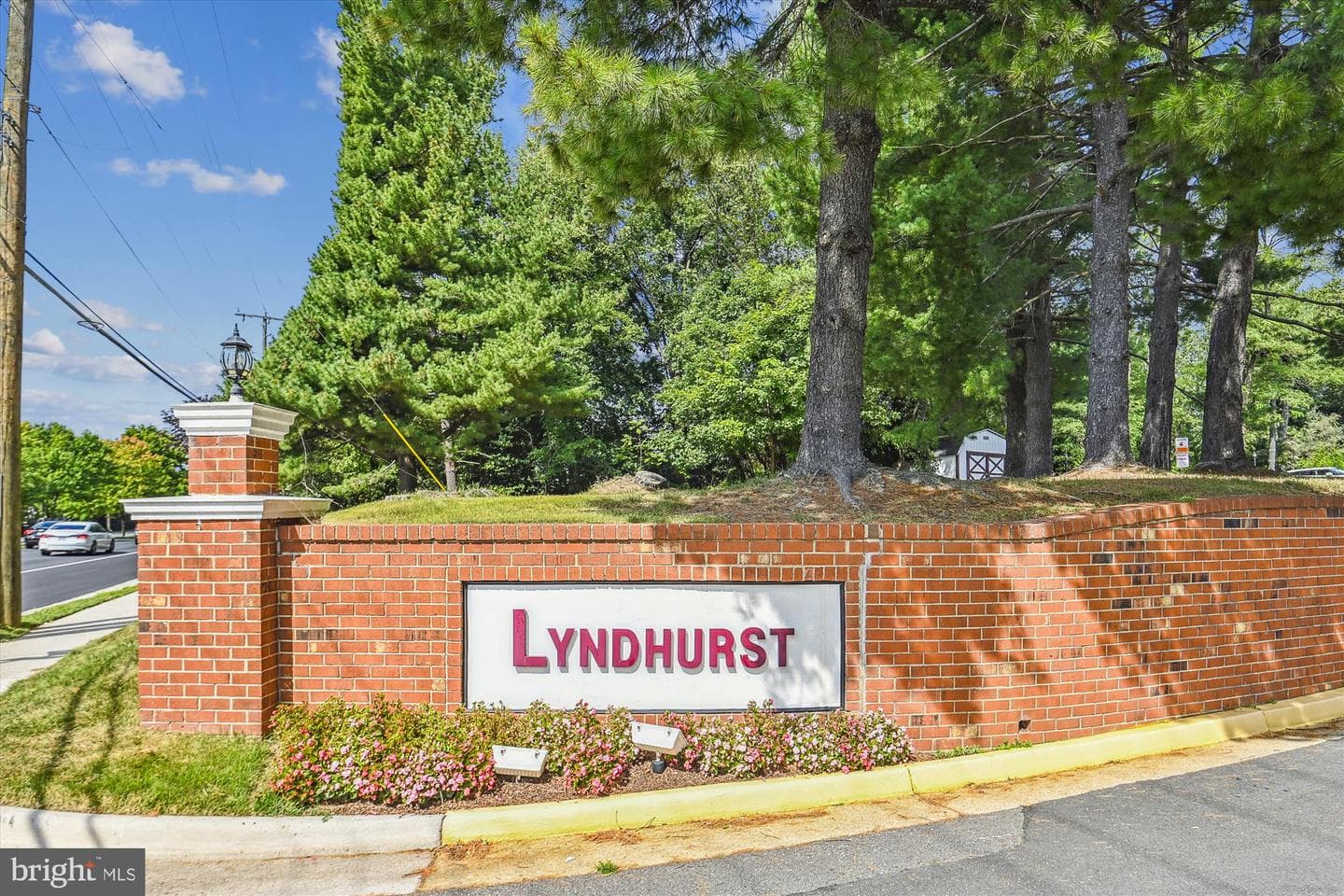 3874 Lyndhurst Drive #103 photo 18