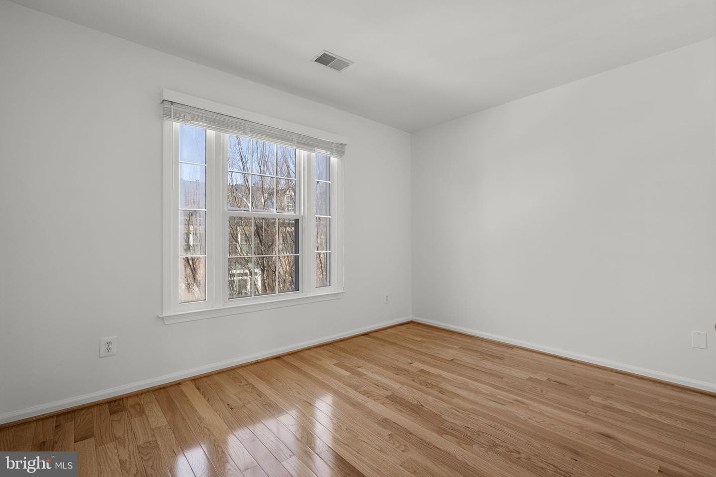 10505 Captain John Smith Court photo 22