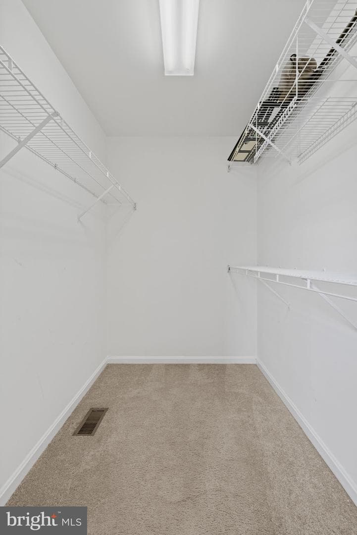 4105 Oxford Lane #302 photo 24