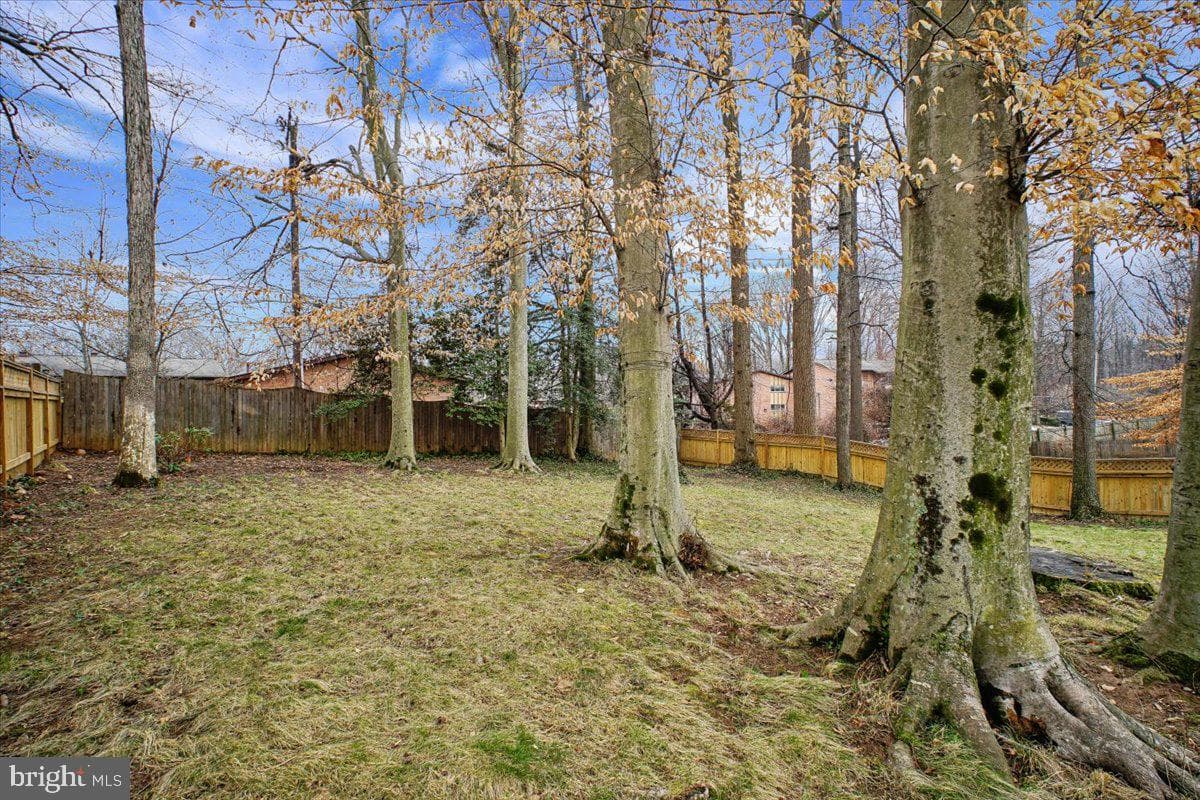 10113 Cardinal Road photo 53