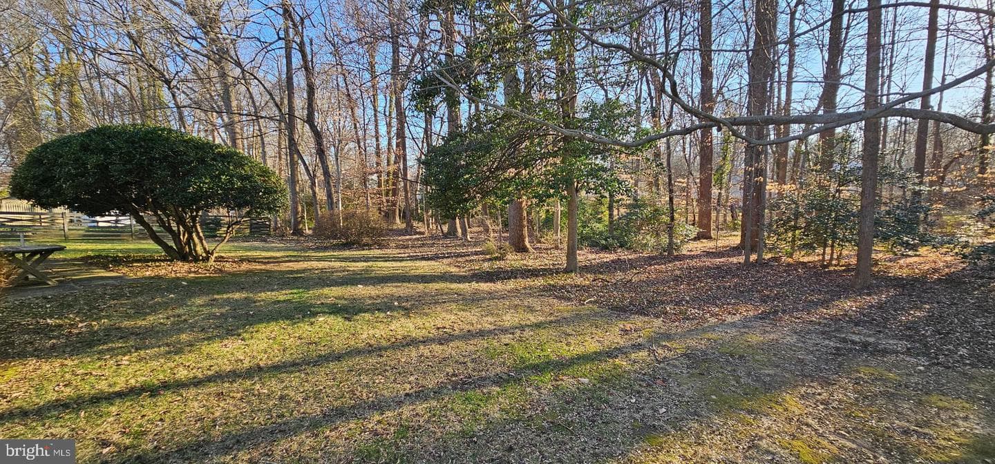 10109 Blue Coat Drive photo 3