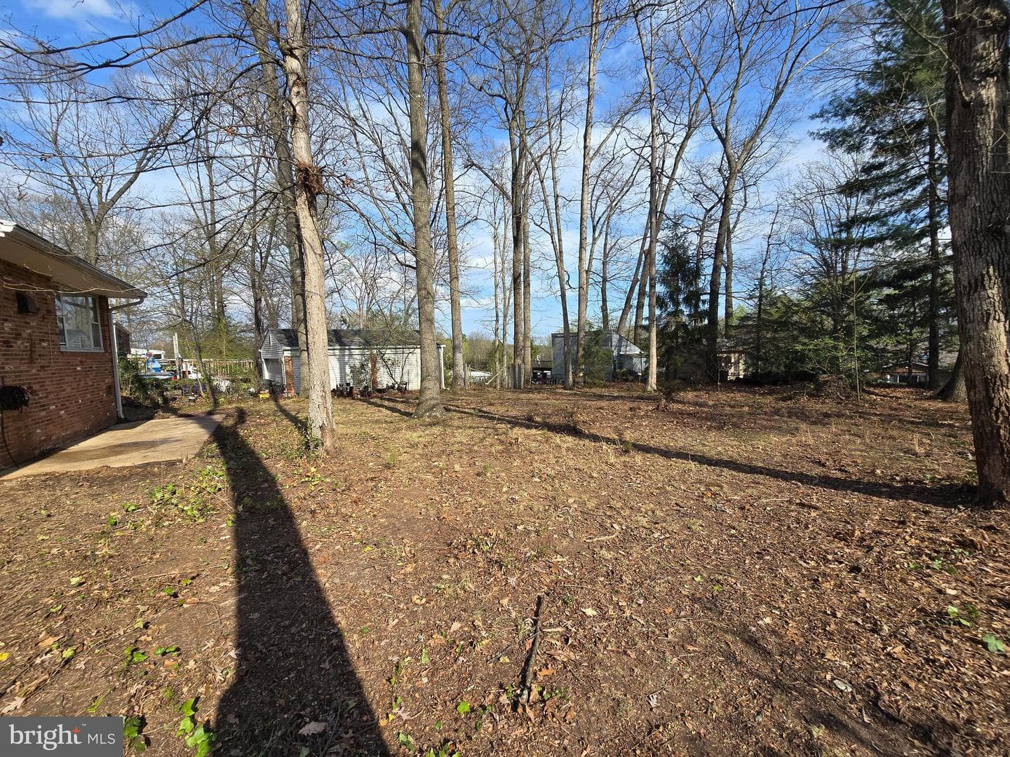 10311 Cleveland Street photo 6