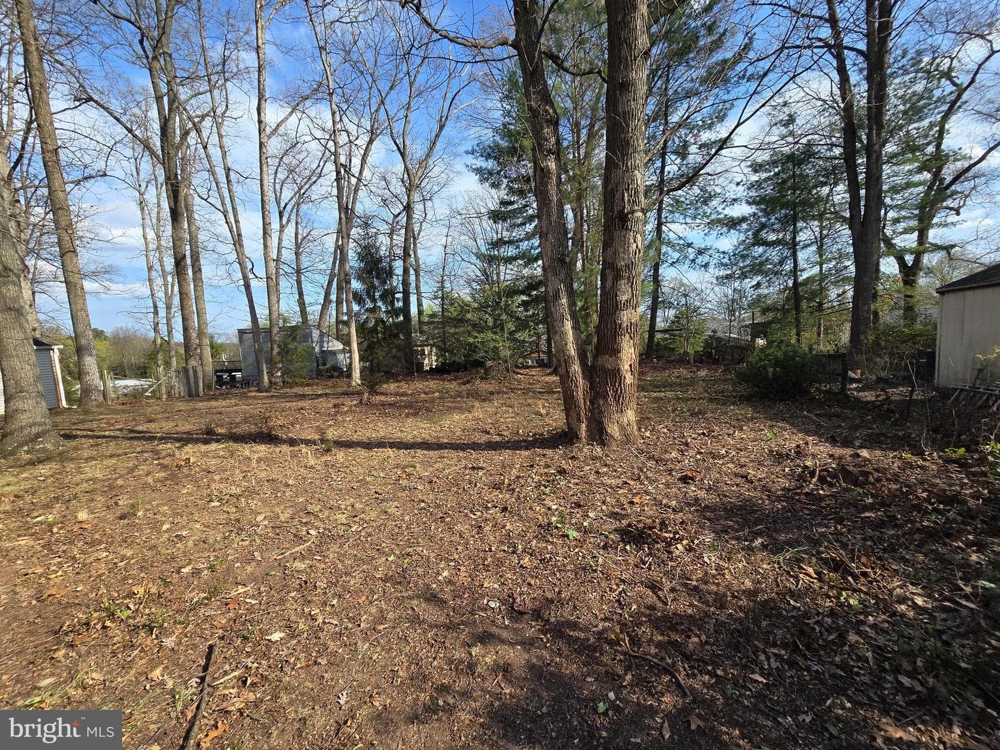 10311 Cleveland Street photo 7