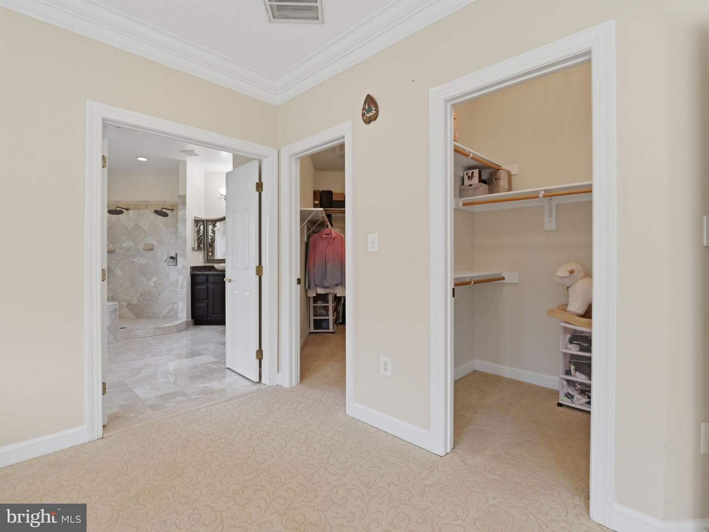 10123 Ratcliffe Manor Drive photo 109