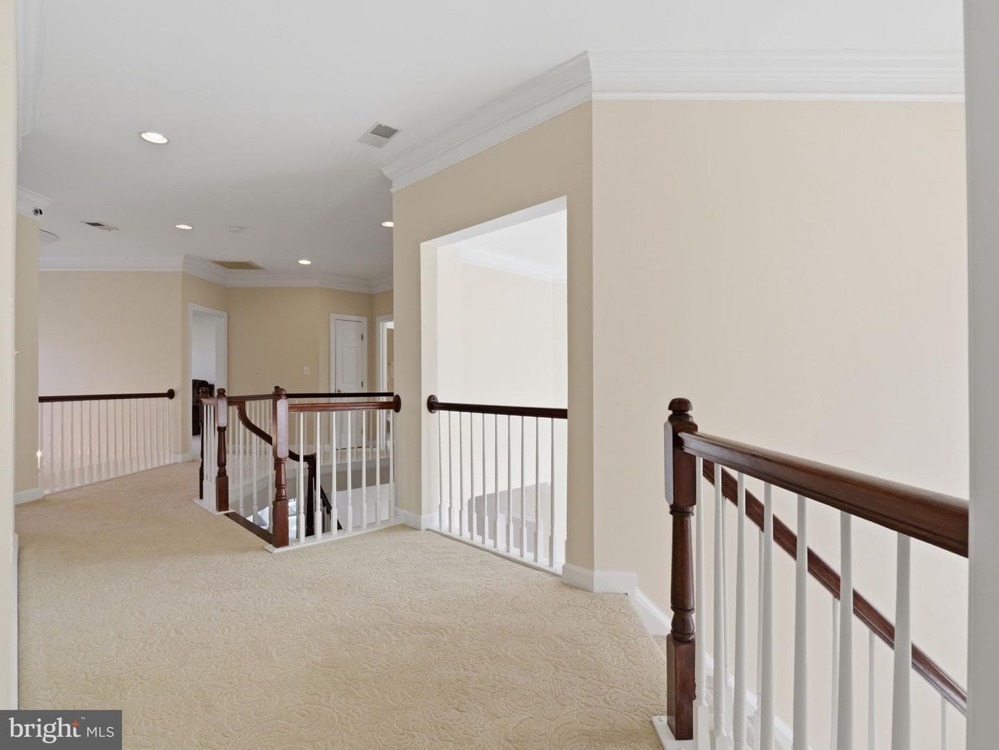 10123 Ratcliffe Manor Drive photo 118